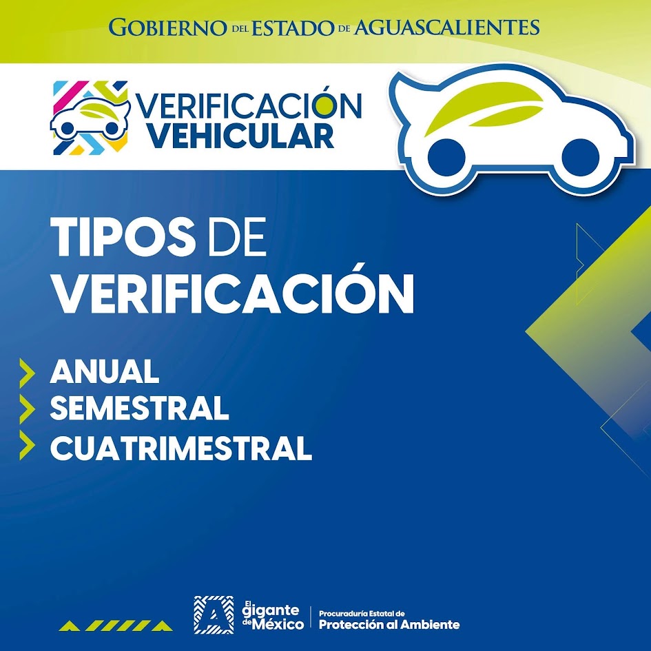 Tipos de verificación vehicular